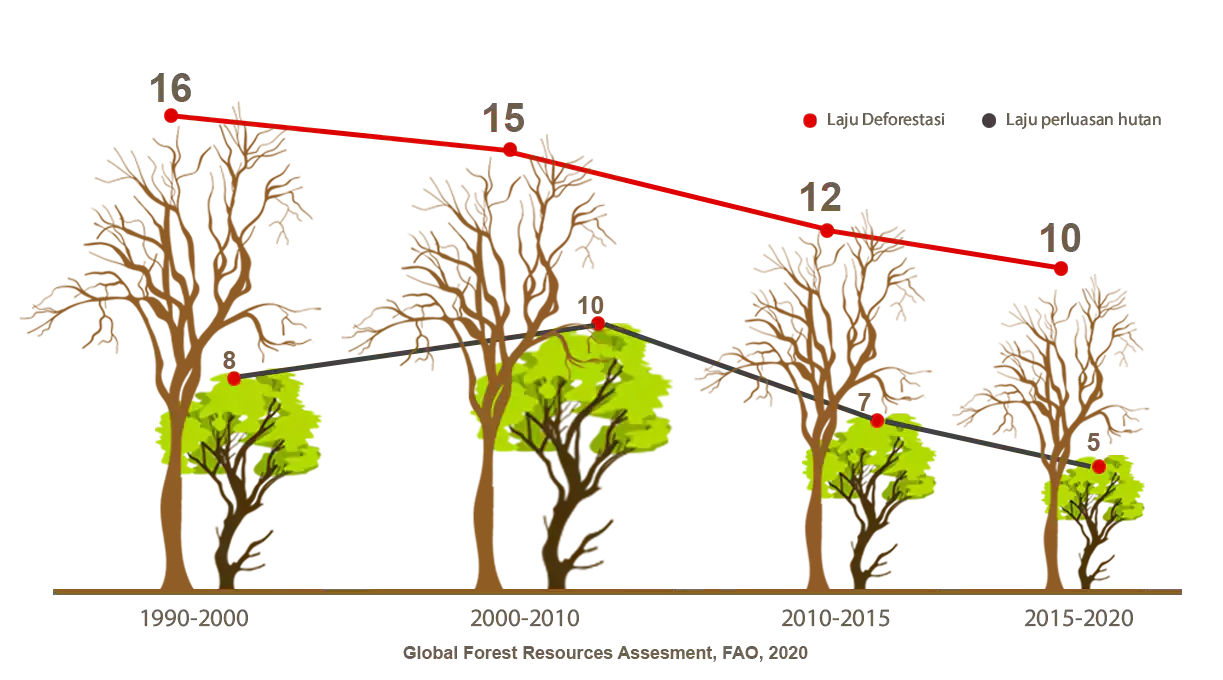 FAO Assesment 2020