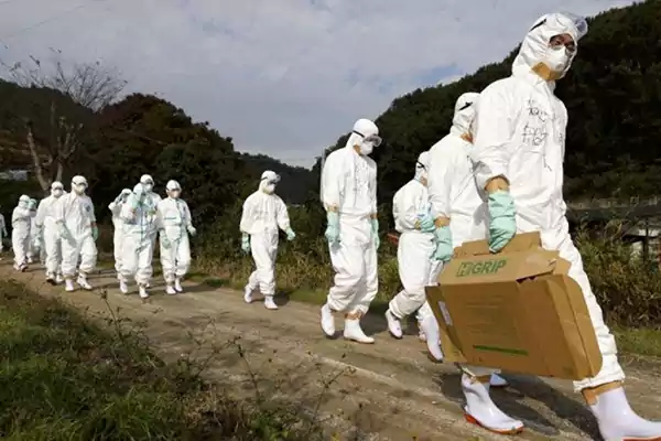 Flu Asian