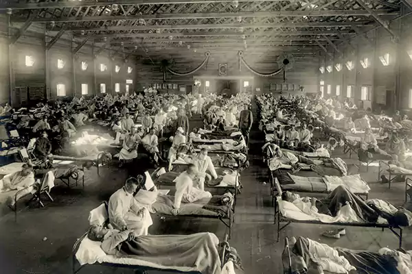 Flu Russia